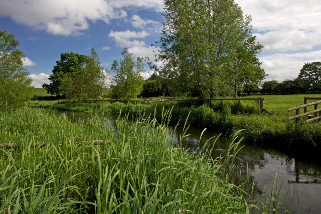 Norfolk chalk stream; the Bintry Mill Trout fishery on the River Wensum