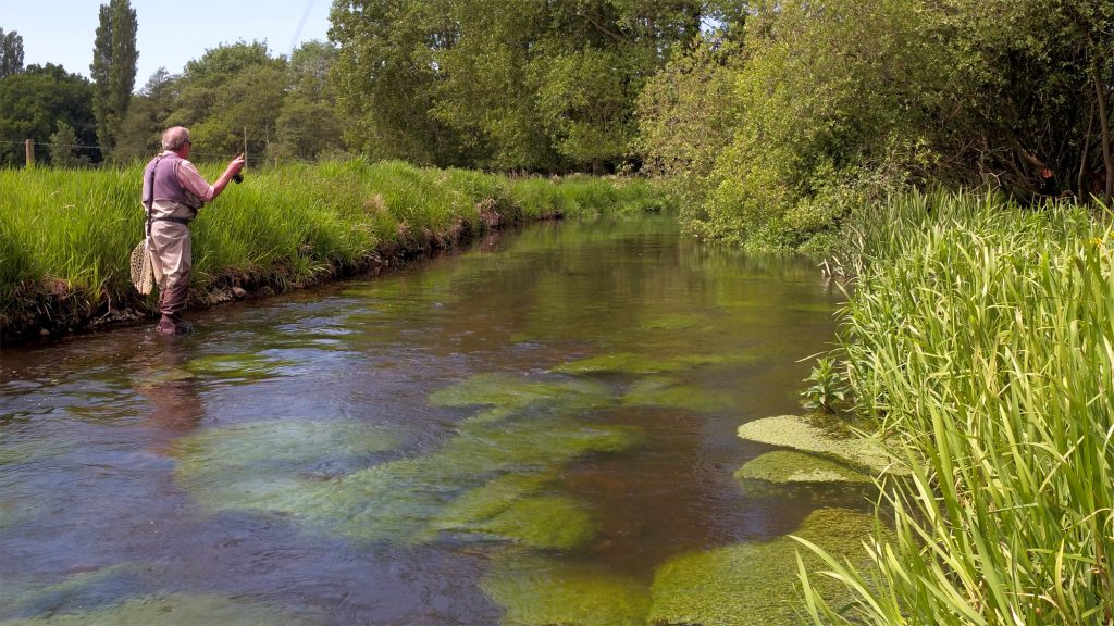 Fly fishing on the Yarrow Farm beat on the River Wensum