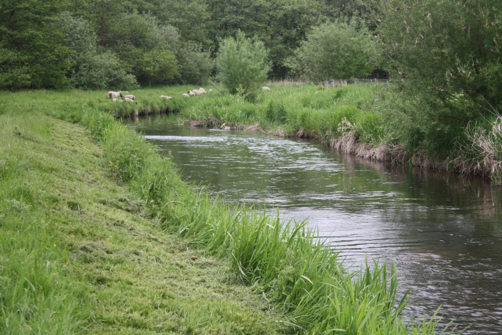Classic chalk stream
