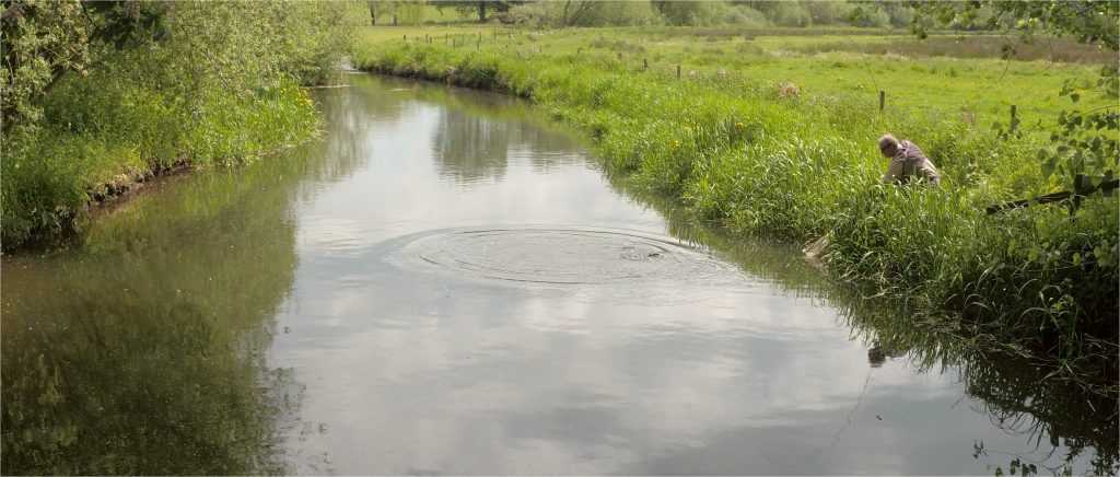 Trout fishing on the fly in Norfolk