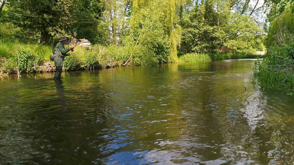 Chalk Stream fly fishing on the River Wensum