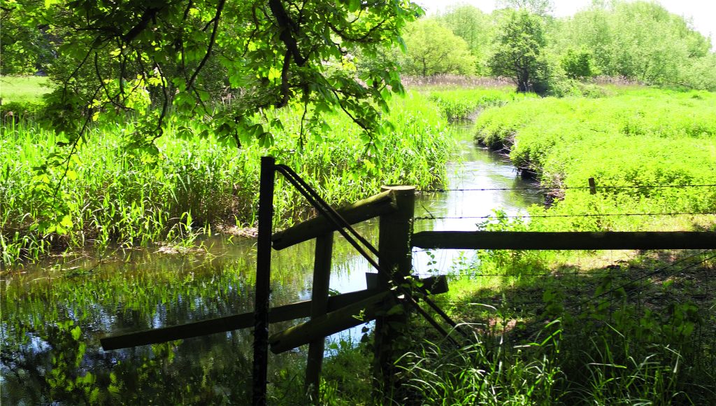 Downstream of County School bridge