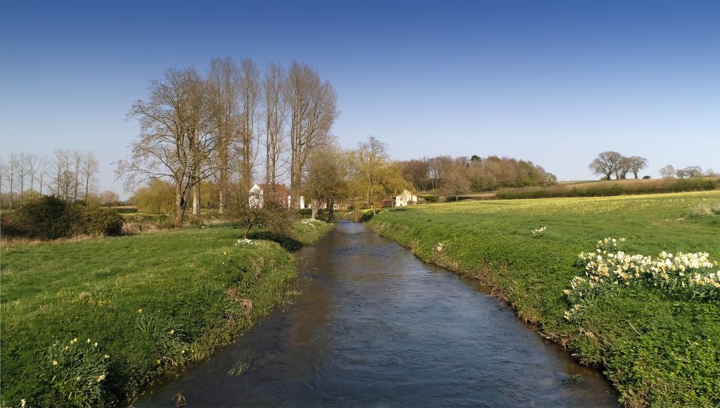 The Mill Straight